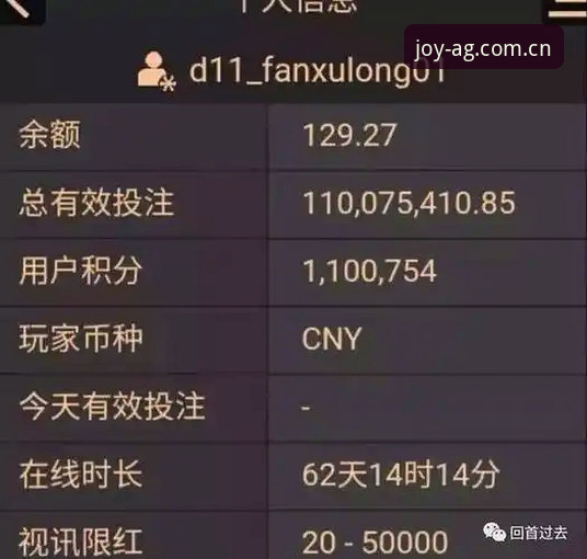 AG百家乐平台下载安装实用指南：新手必备知识