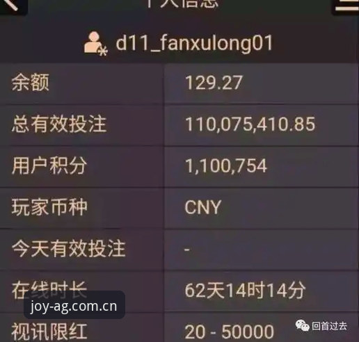 AG百家乐平台官方下载安全指南：必备的五个核查要点